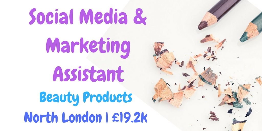 Social Media & Marketing Assistant