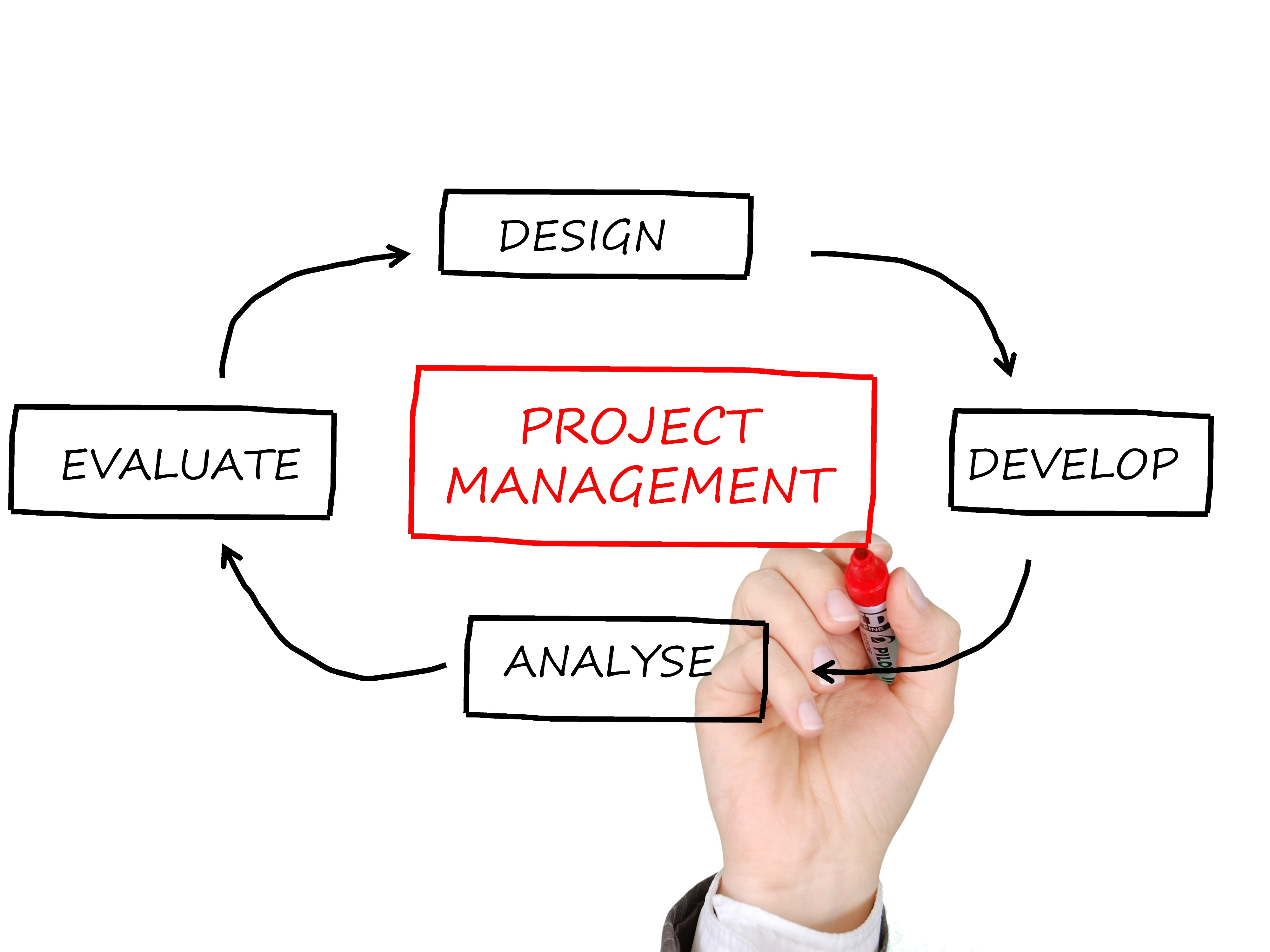 Менеджер проектов первый проект. Project Management. Управление проектами. Управление проектами картинки. Проектный менеджмент.